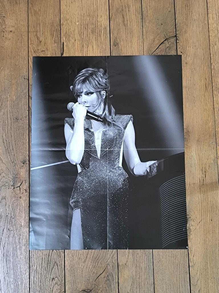Affiche / poster de Mylène Farmer tournée Timeless 2013, Collections, Posters & Affiches, Enlèvement ou Envoi, Rectangulaire vertical