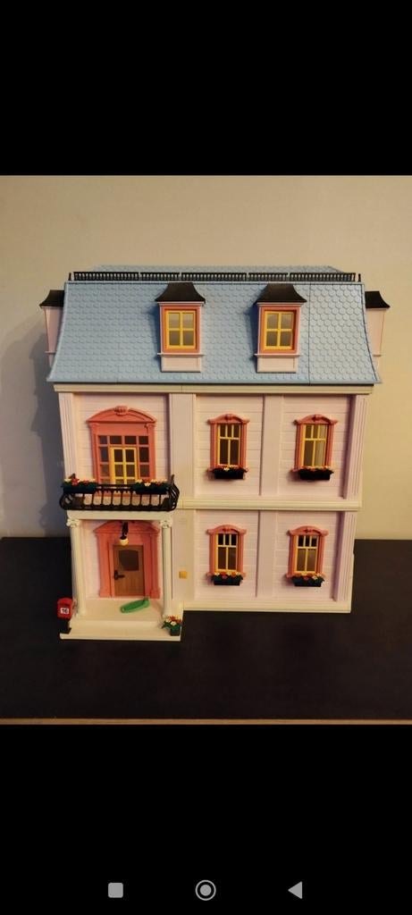 Playmobil Dolhouse 5303, Enlèvement