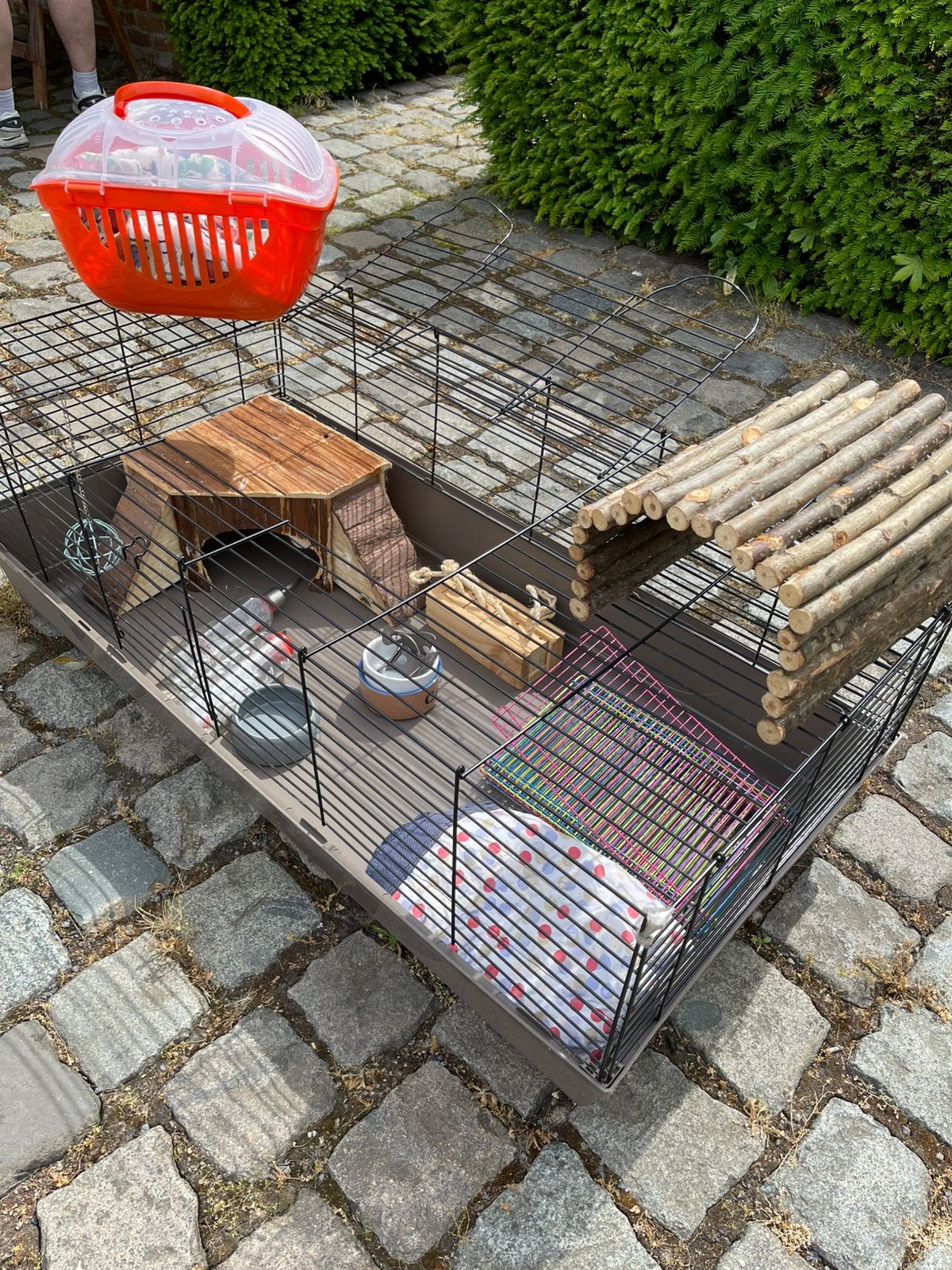 Cavia kooi en toebehoren, Moins de 60 cm, Cage, Enlèvement, Utilisé