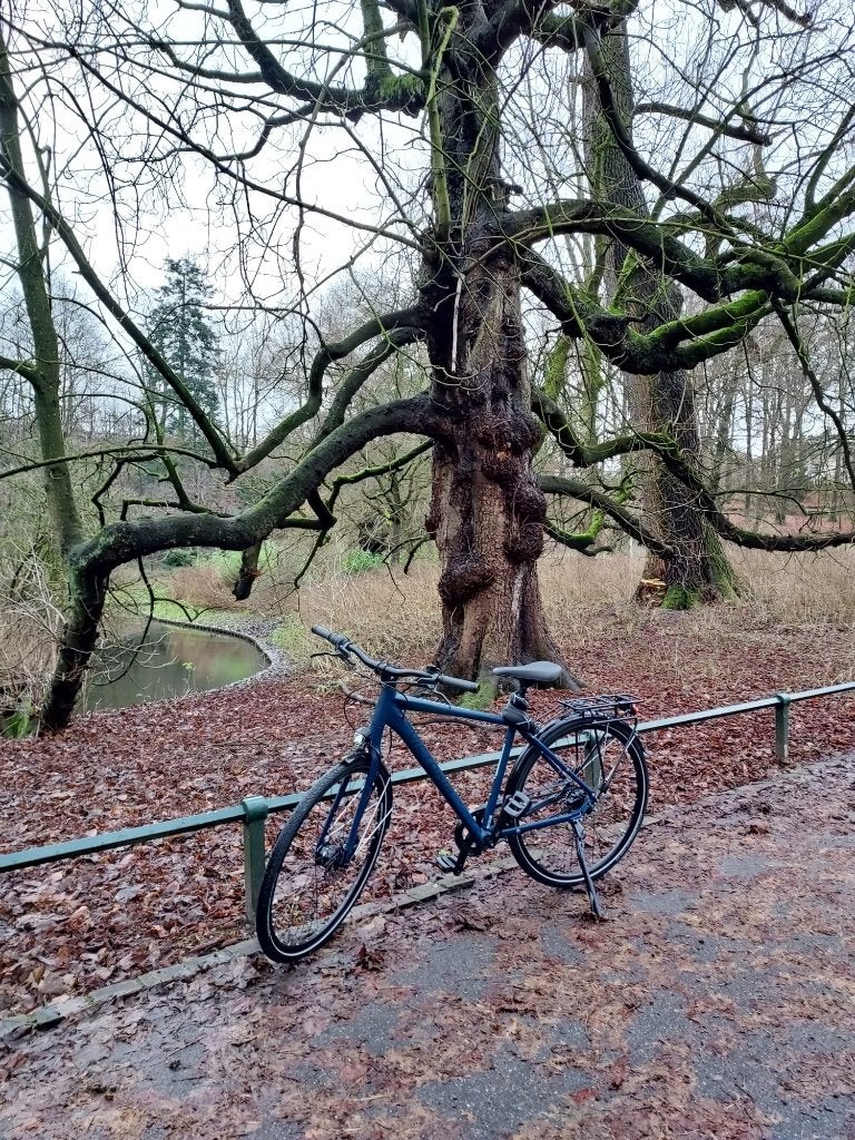 Vélo Victoria Trekking 5.8 D, Moins de 10 vitesses, 49 à 53 cm, Enlèvement, Utilisé