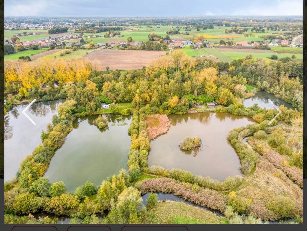 Prachtige visvijvers te koop met veel grond, Province d'Anvers