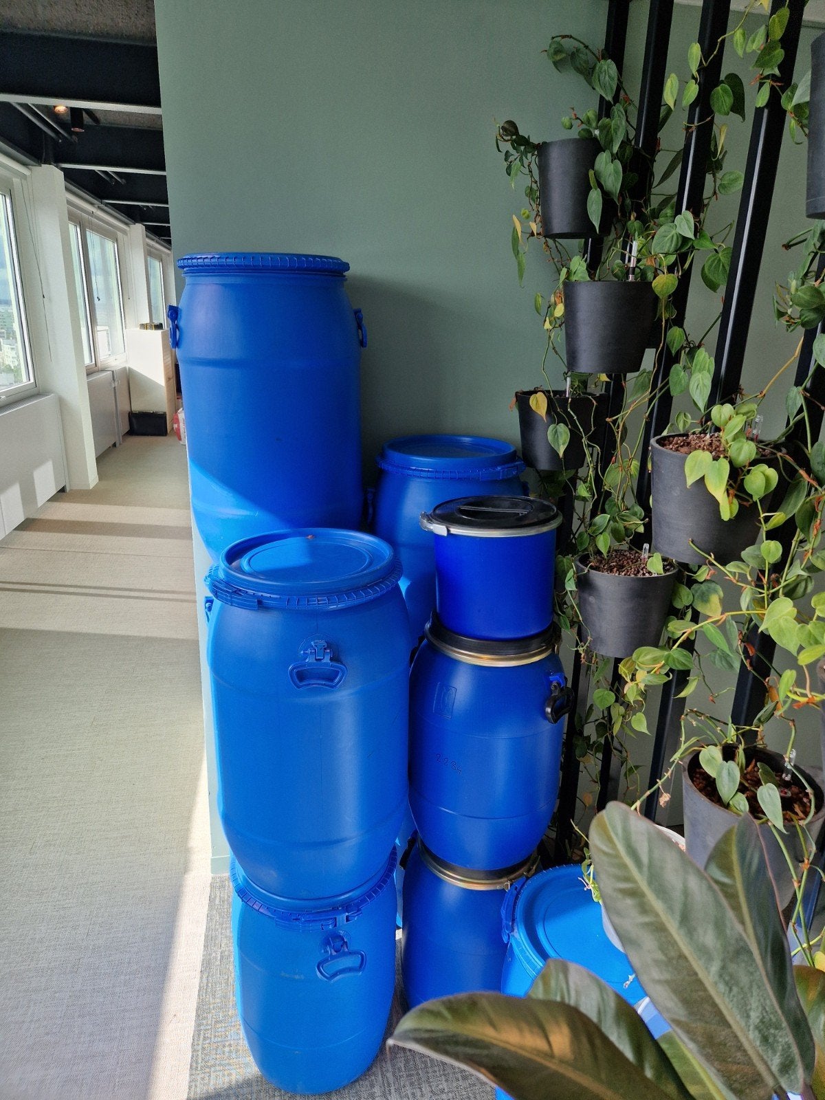 Plastic vaatjes te koop, inhoud 65L., Tuin en Terras, Regentonnen, Minder dan 75 liter, Ophalen, Nieuw, Kunststof