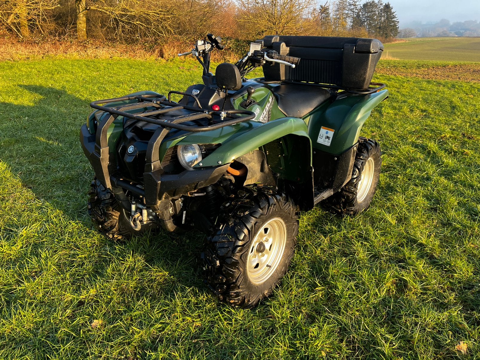 Quad Grizzly 700cc, Motoren