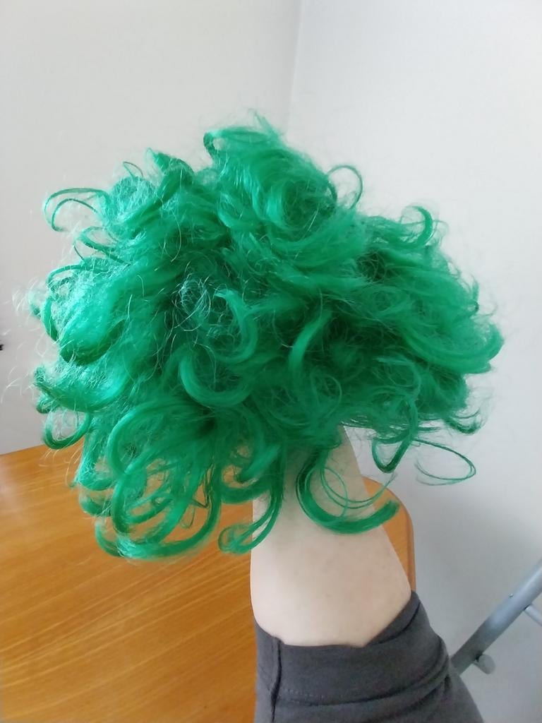 Carnaval met deze paarse en groene pruik, Ophalen