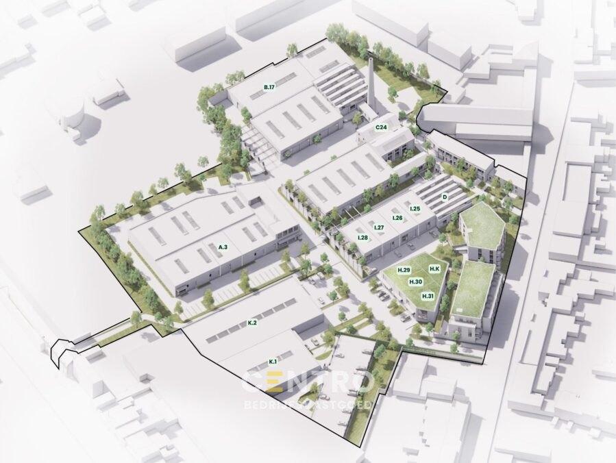 TE KOOP - NB Project 'Walle', Overige soorten, Kortrijk
