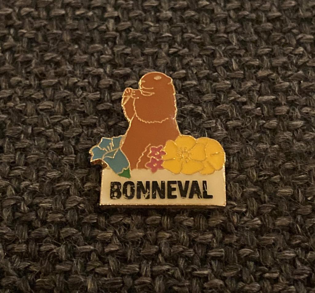 PIN - BONNEVAL - FRANCE - FRANKRIJK - BEVER - CASTOR, Verzamelen, Verzenden, Gebruikt, Stad of Land, Speldje of Pin