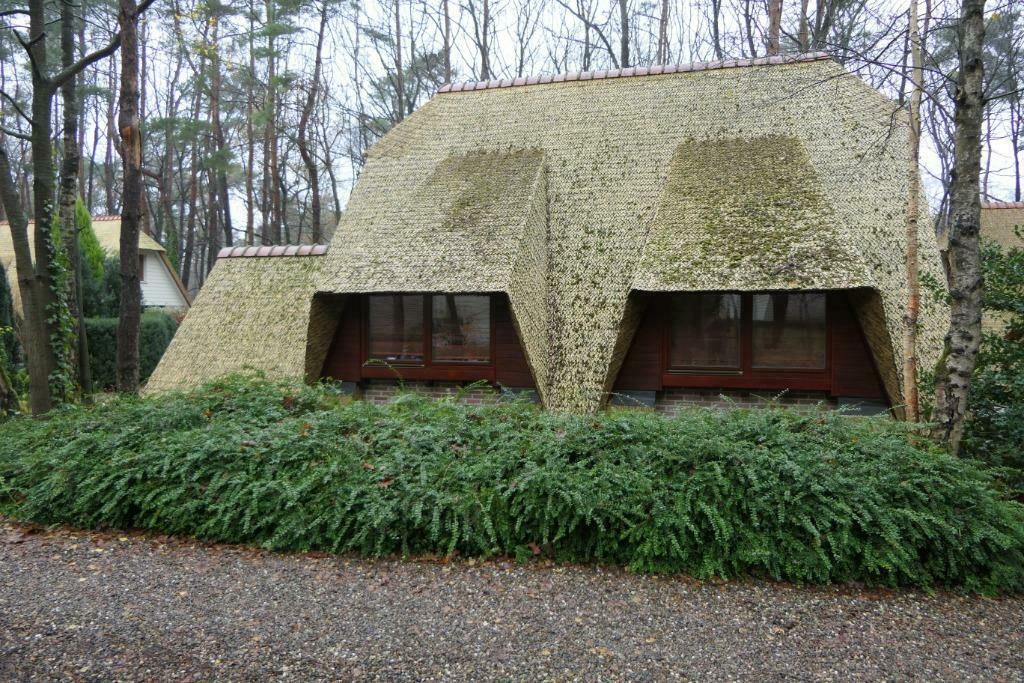 Onthaasten in Belgisch Limburg, Vakantie, Afwasmachine, Limburg of Luik, Aan meer of rivier, Recreatiepark
