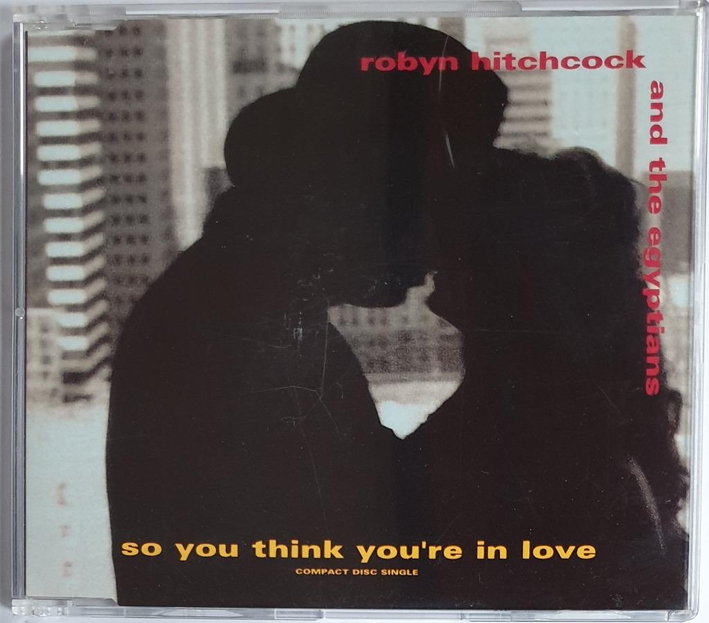 Maxi CDS Robin Hitchcock - So You Think You're In Love, Ophalen of Verzenden, Gebruikt