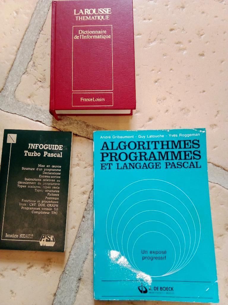 Dictionnaire informatique et Pascal, Livres, Enlèvement ou Envoi, Utilisé, De boeck