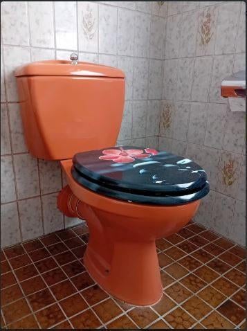 vintage toilet wc Villeroy Boch carneool 70er, Enlèvement, Maison et Meubles