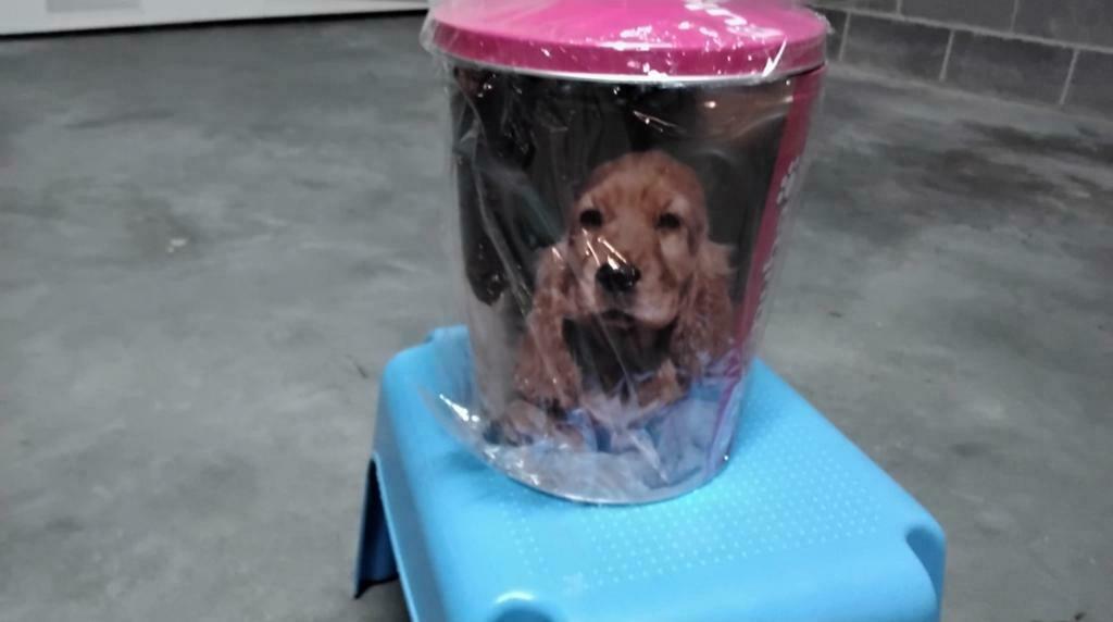 Corbeille décors chiens avec couvercle. Neuve, Enlèvement ou Envoi, Neuf, Métal