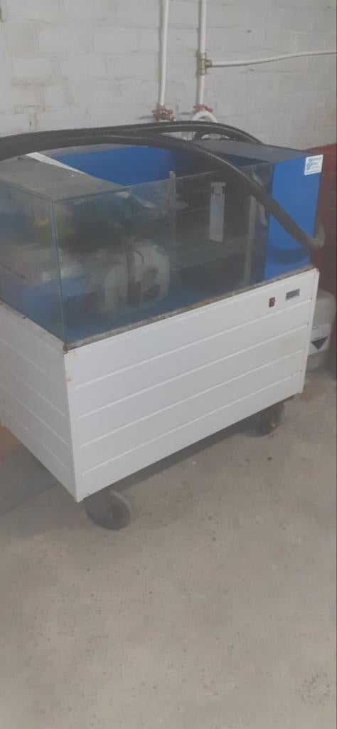 Aquarium voor kreeften, Ophalen
