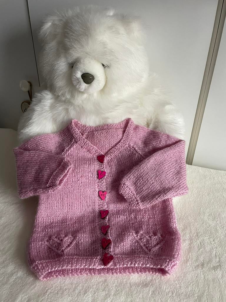 Vest van wol, Kinderen en Baby's, Ophalen of Verzenden, Nieuw, Meisje, Truitje of Vestje