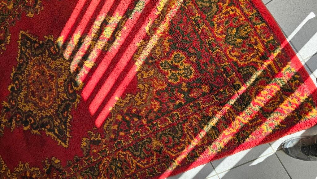 Grand Tapis epais en laine pour salon  living 3,08m x 1,94m, Enlèvement