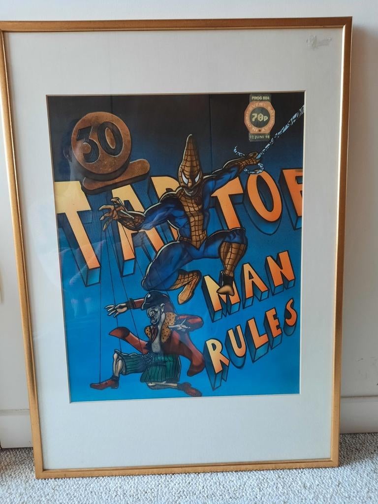 Originele affiche Theater Taptoe 1998, Verzamelen, Ophalen