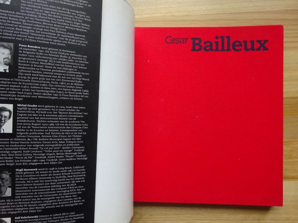 Cesar Bailleux,   Monografie Roularta Art Books  1996, Enlèvement ou Envoi, Utilisé, Sculpture