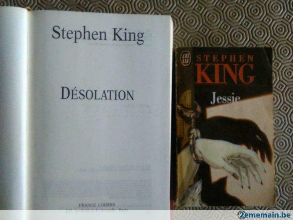 Stephen King, deux romans, Boeken, Fantasy, Gelezen, Ophalen of Verzenden