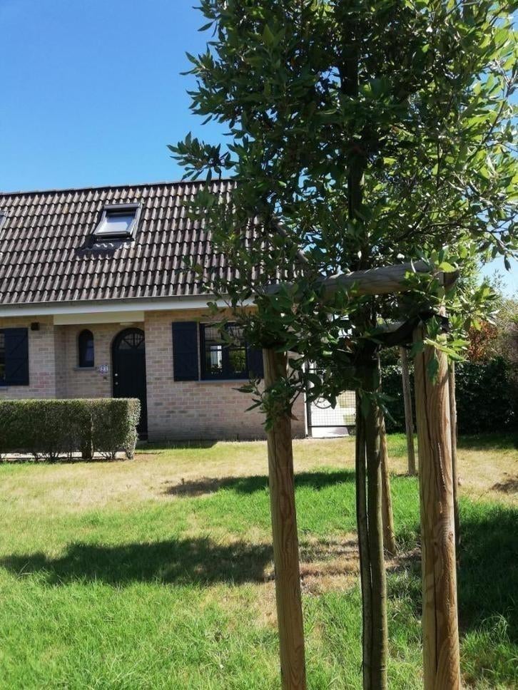 Last minute kindvriendelijke vakantiewoning Oostduinkerke, Immo