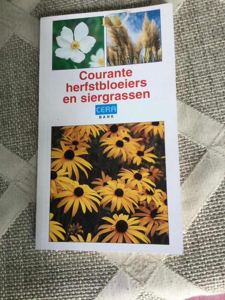 Courante herfstbloeiers en siergrassen, Ophalen of Verzenden, Herfst, Siergrassen