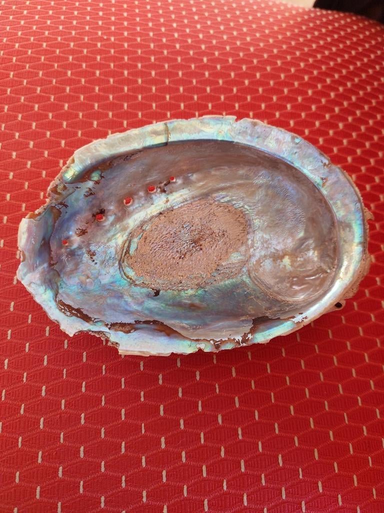 Abalone schelp, Ophalen of Verzenden