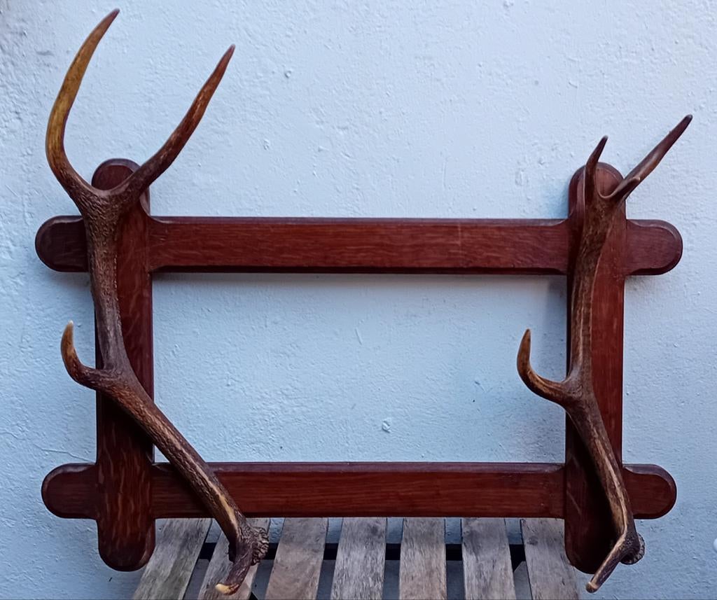 porte manteau ou fusils bois de cerf., Enlèvement, Bois
