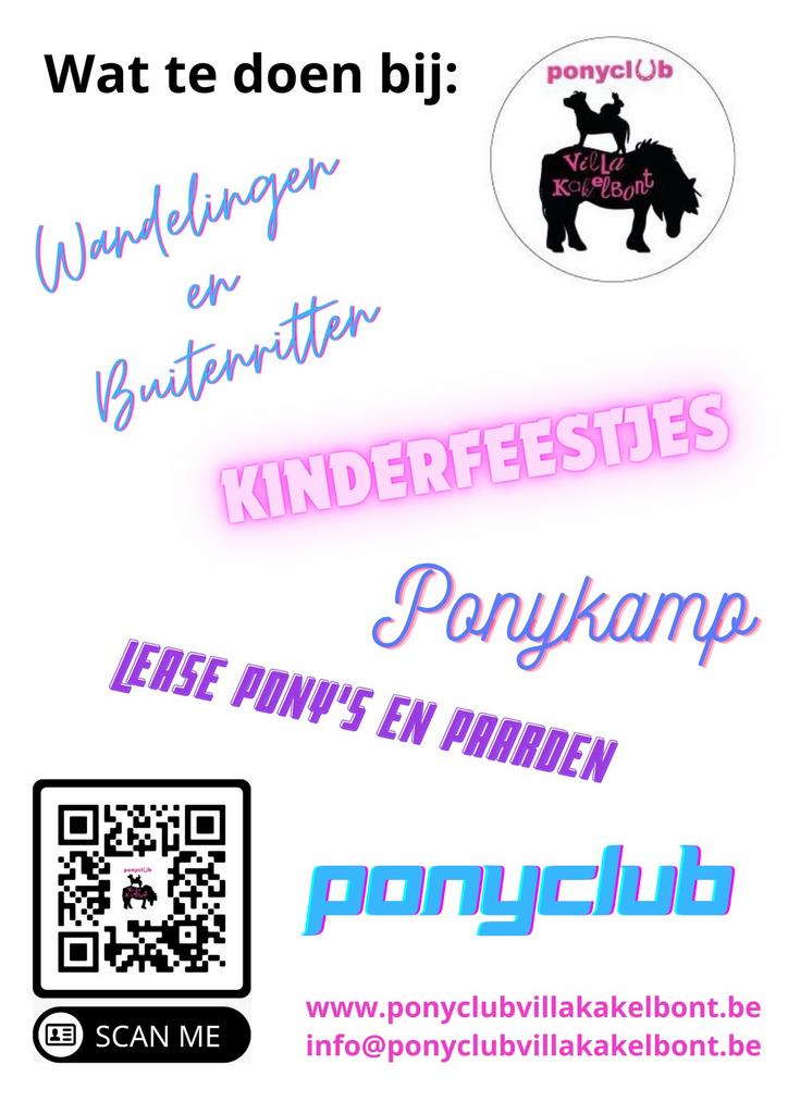 Ponyclub, halve stal, verzorgpony, ponykamp, ponywandeling