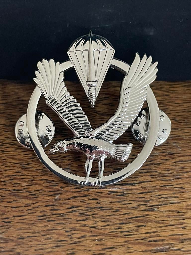 Beret badge GVP/ESR, Verzenden, Landmacht, Embleem of Badge