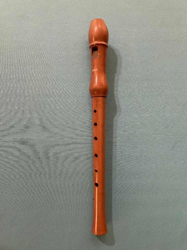 Enregistreur Hohner, Musique & Instruments, Enlèvement ou Envoi, Comme neuf