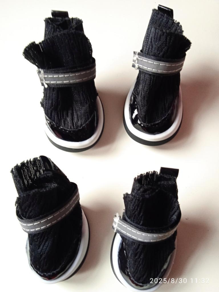 Chaussures pour chiens, Enlèvement ou Envoi, Neuf