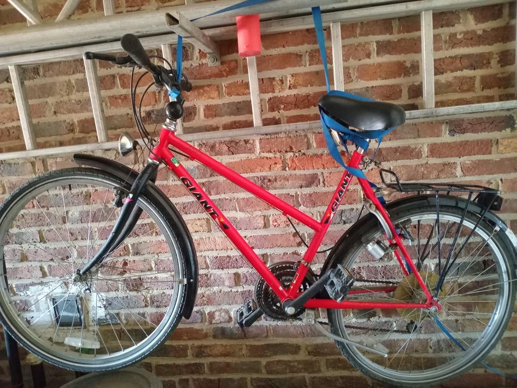Giant kleine dames fiets of voor meisje, Ophalen of Verzenden, Giant