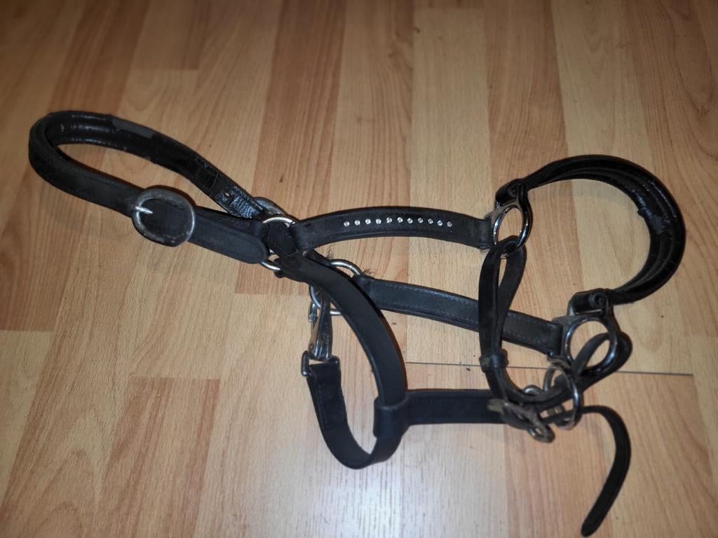 lederen zwart halster met steentjes schet/pony, Dieren en Toebehoren, Ophalen of Verzenden, Gebruikt, Overige soorten