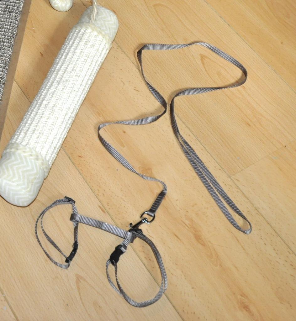 Harnais et laisse pour chat ou chiot neufs jamais utilisés, Animaux & Accessoires, Enlèvement ou Envoi, Neuf