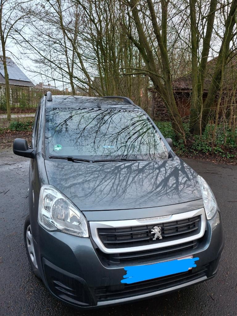 Peugeot Partner Tepee 2018, Argent ou Gris, Achat, 6 portes, Boîte manuelle