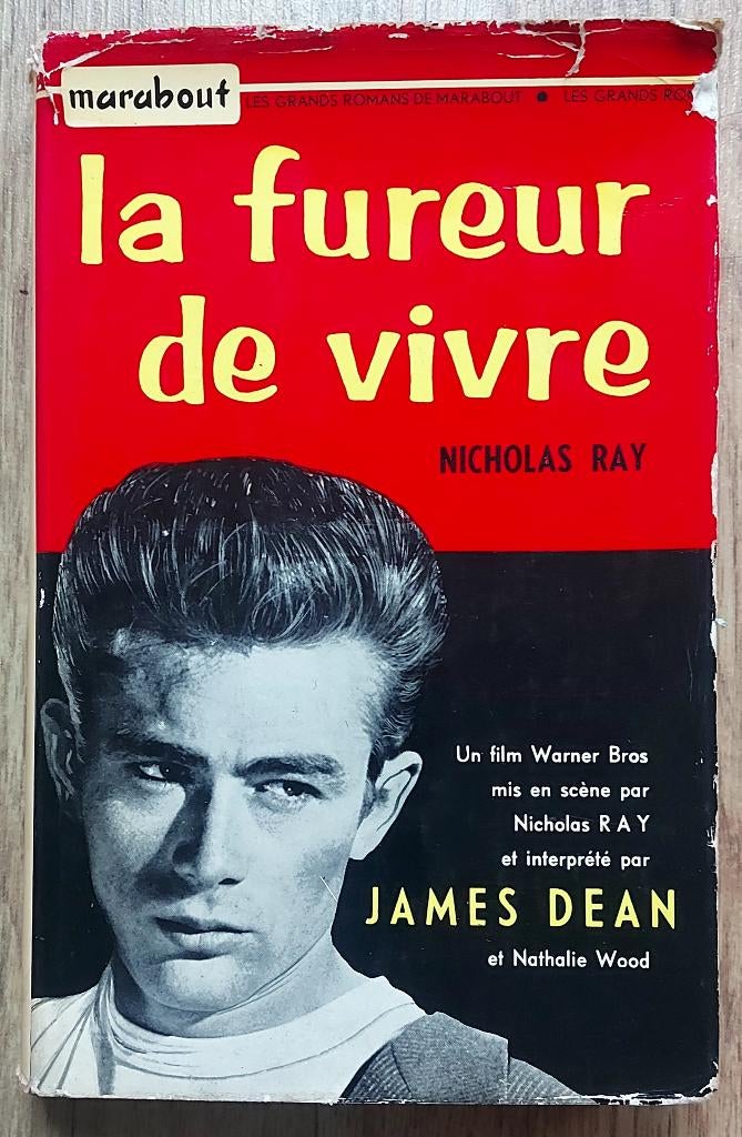 Livre ancien James Dean, Enlèvement ou Envoi, Utilisé, Nicholas Ray, Cinéma ou Adaptation TV