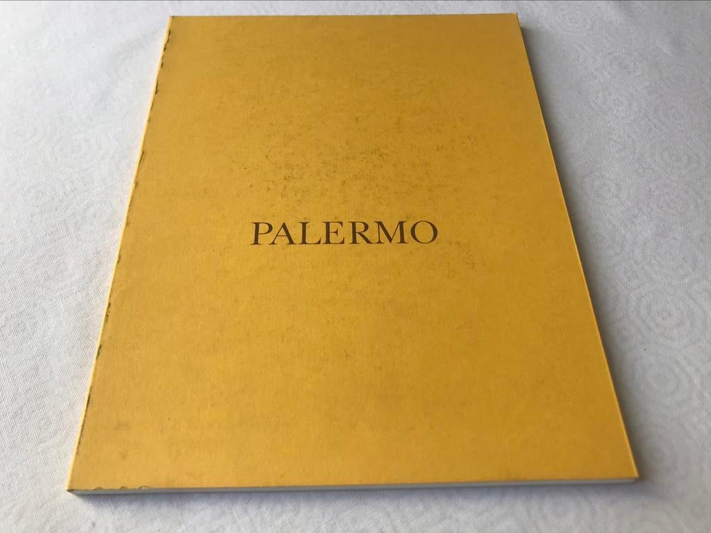 Blinky Palermo Paintings Sculptures 70pag, Ophalen of Verzenden, Zo goed als nieuw, Schilder- en Tekenkunst