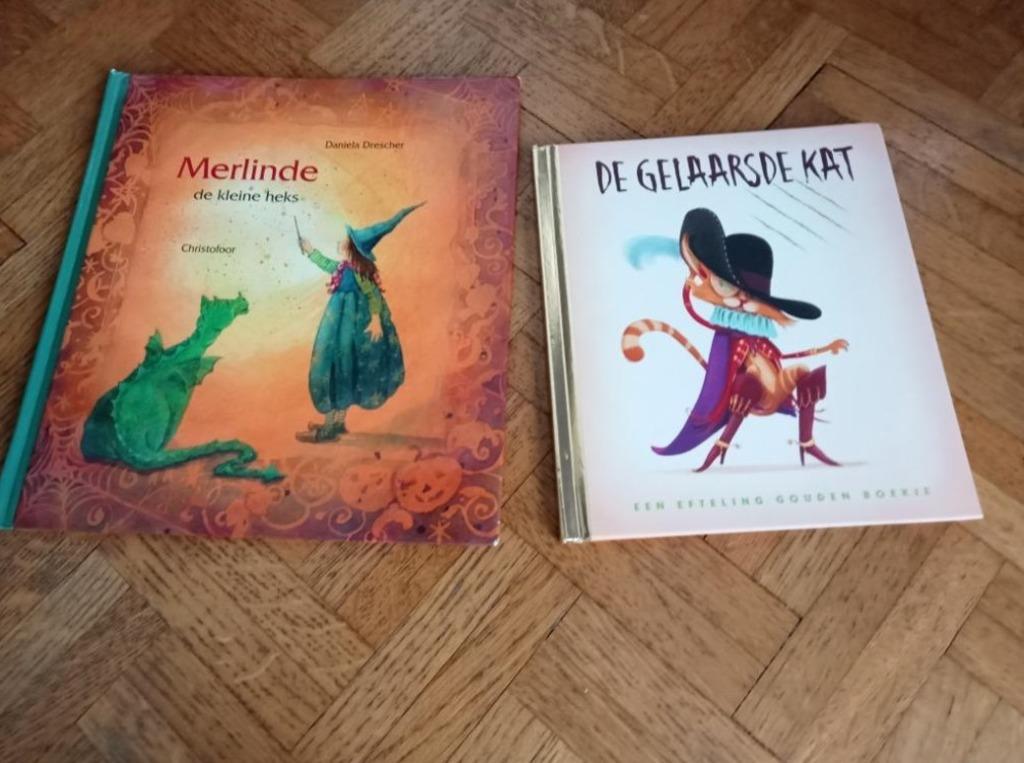 2 avontuurlijke kleuterboeken om voor te lezen, Ophalen of Verzenden, Gelezen, Gouden boekje