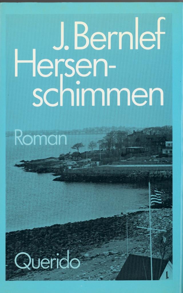 J. Bernlef : diverse titels - zie beschrijving + foto's, Boeken, Ophalen of Verzenden, Zo goed als nieuw