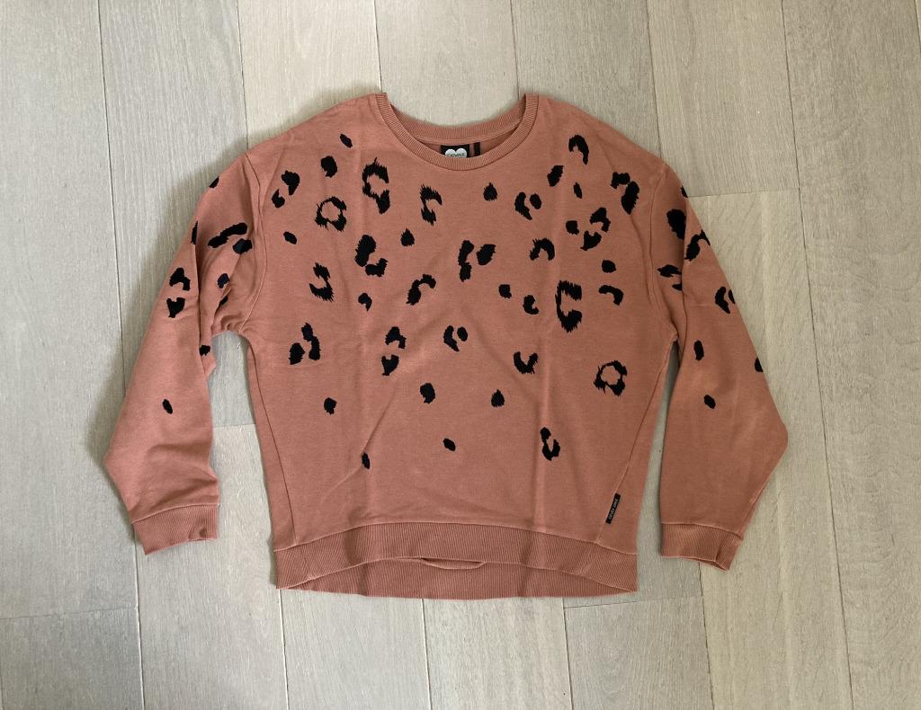 Teracotta Sweater/trui van Catwalk Junkie (Maat S), Enlèvement ou Envoi, Rose, Taille 36 (S), Comme neuf