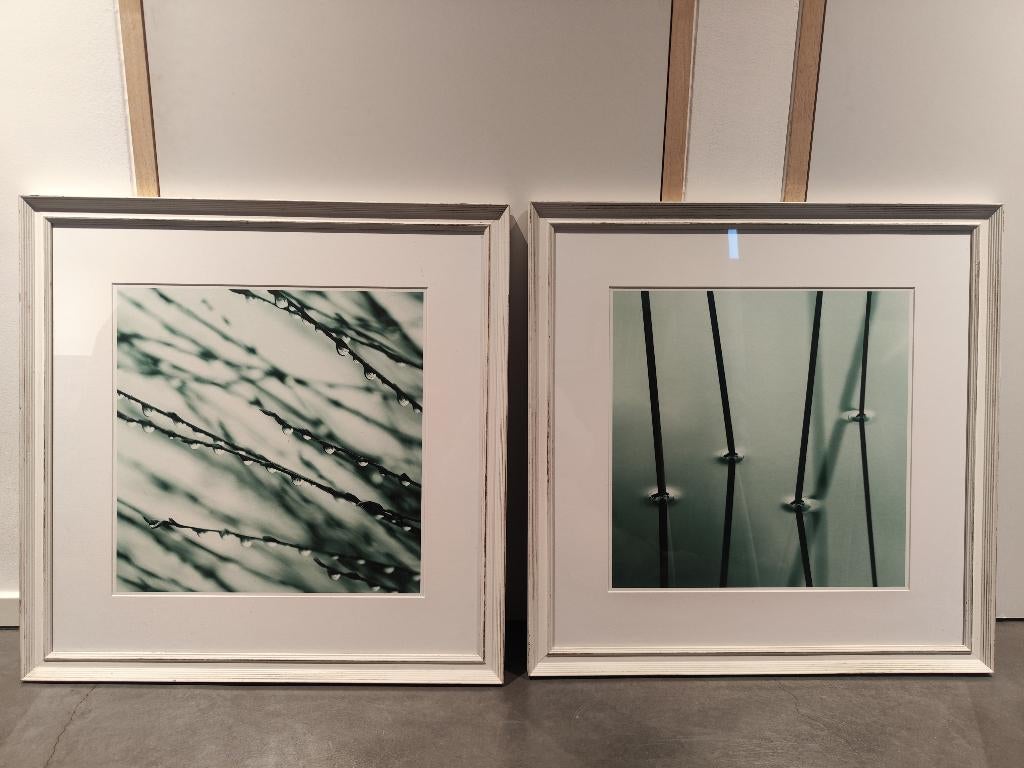 Set van 2 grote ingekaderde natuur kunstfoto's – 7272 cm, Antiek en Kunst, Kunst | Tekeningen en Fotografie, Ophalen