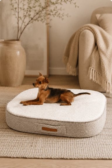 Dierenbenodigdheden, voeding & verzorging | LM Group Belgium, Formation ou Cours