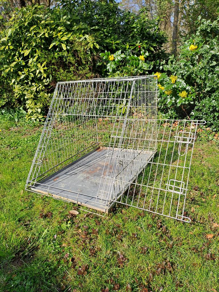 Cage de transport pour chien, Animaux & Accessoires, Enlèvement, Utilisé