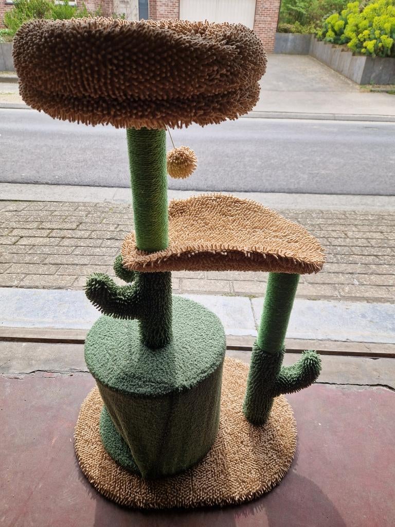 Krabpaal kattenpaleis voor kat, Enlèvement, Griffoir