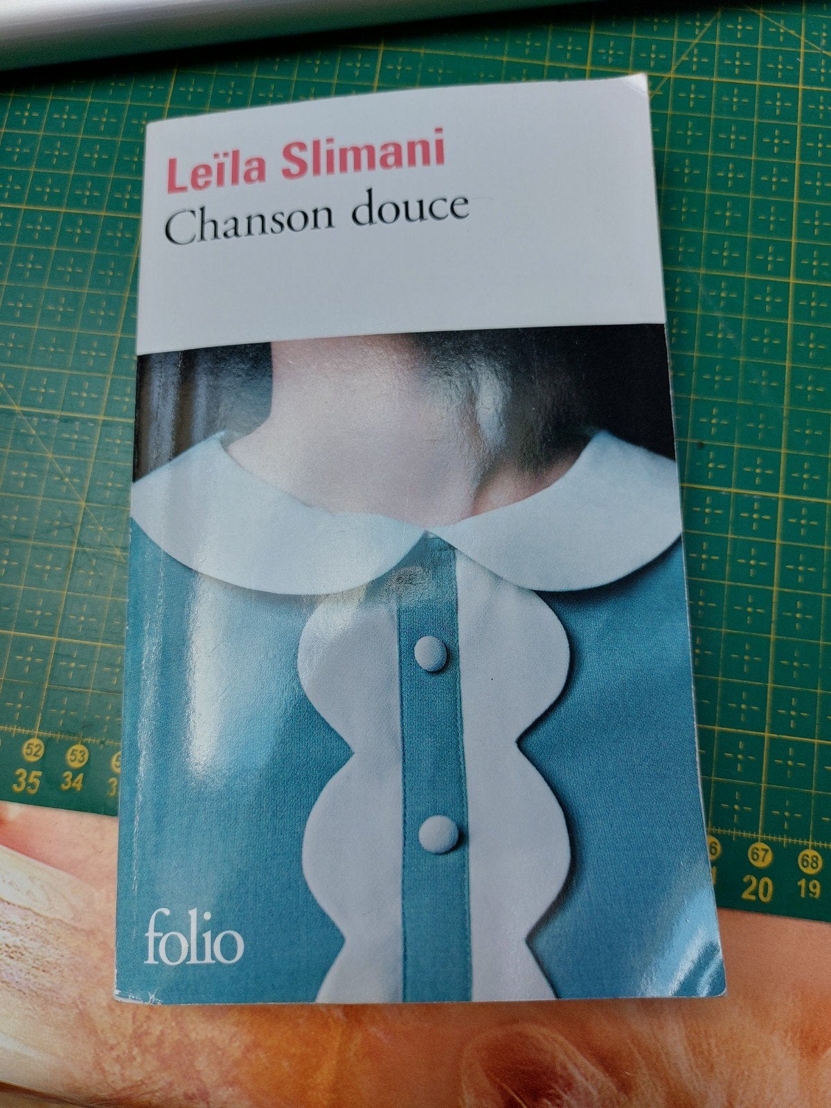 Chanson Douce - Leïla Slimani, Livres, Atlas & Cartes géographiques, Enlèvement