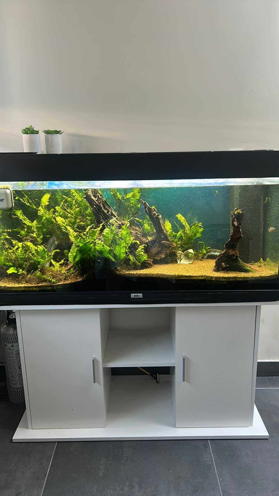 Aquarium, Enlèvement, Pompe, Comme neuf