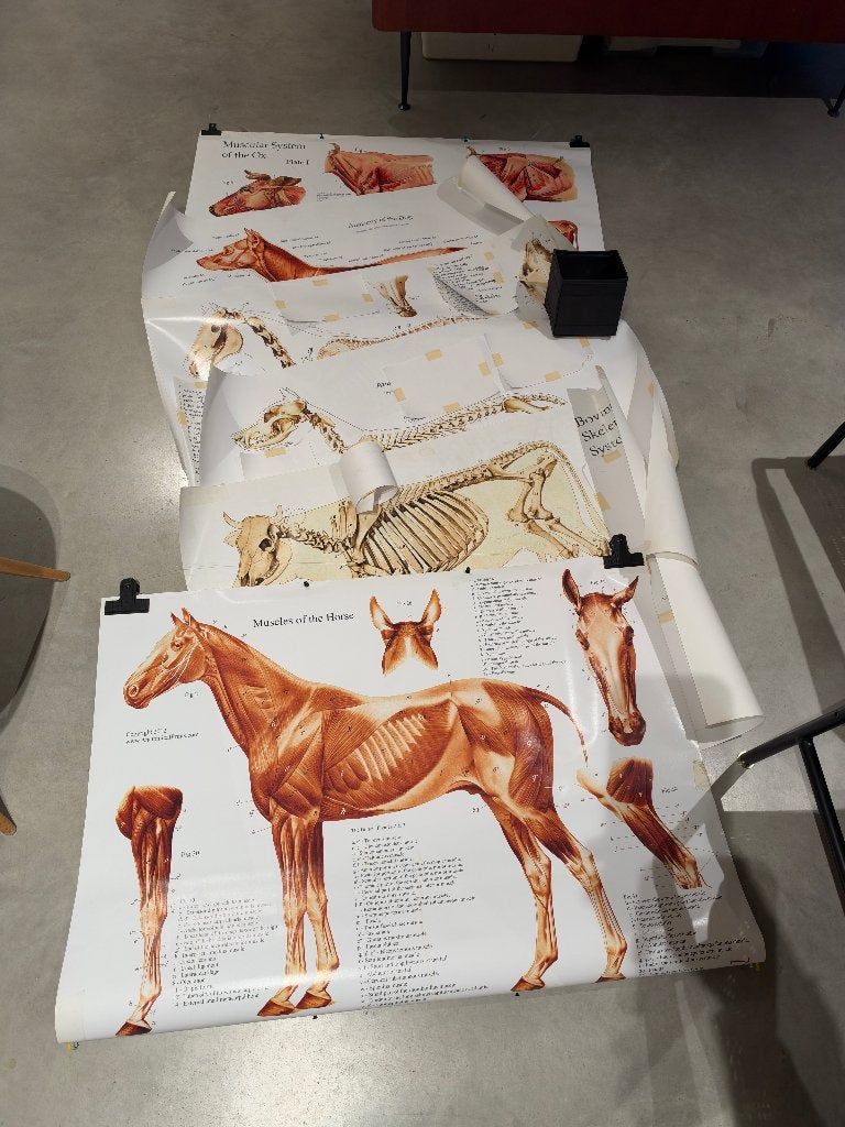 dierenarts studiemateriaal/posters, Ophalen