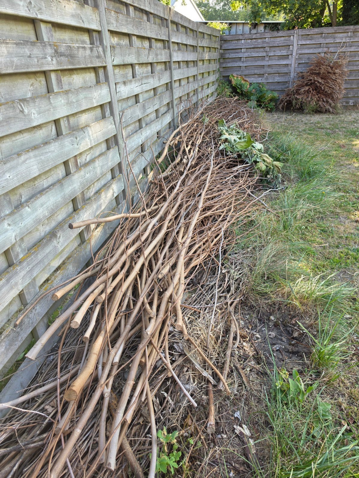 Bois de chauffage gratuit, Jardin & Terrasse, Enlèvement