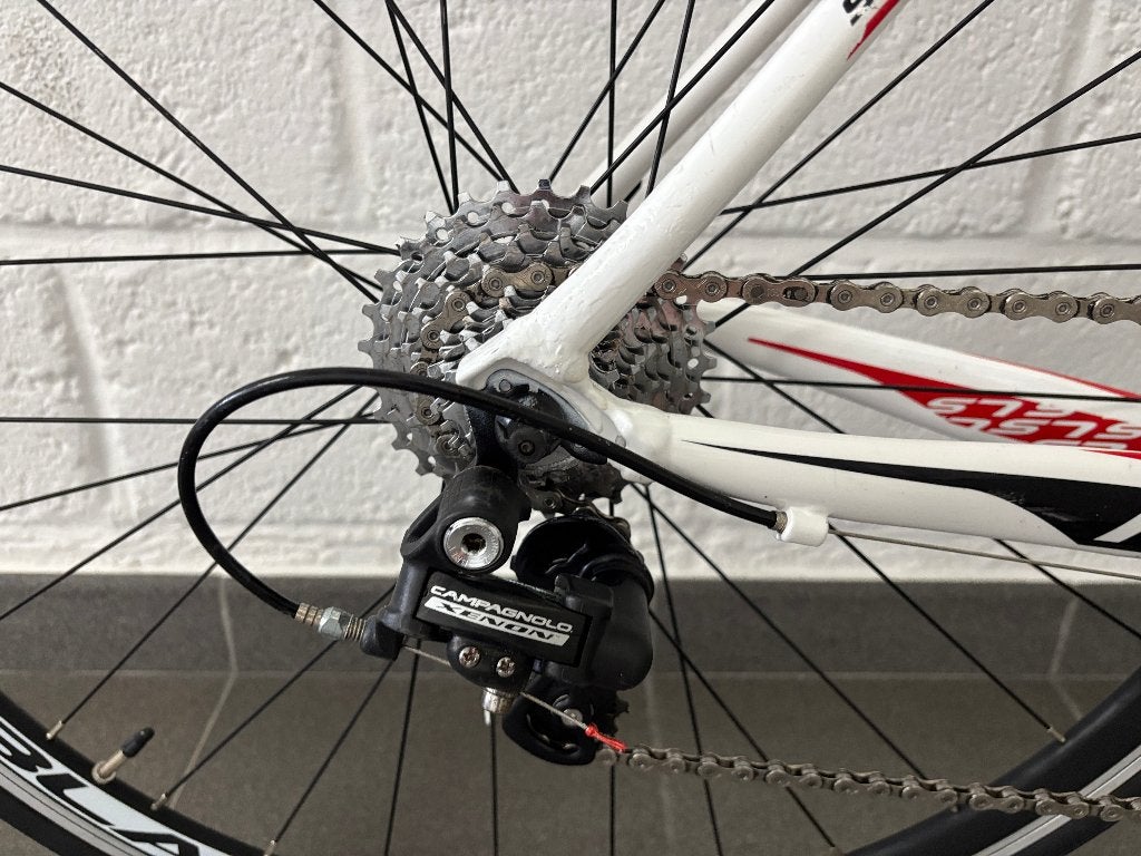 Dames Meisjes Race Koersfiets mt 51 in perfecte staat, Fietsen en Brommers, Ophalen, 28 inch, Aluminium, 49 tot 53 cm
