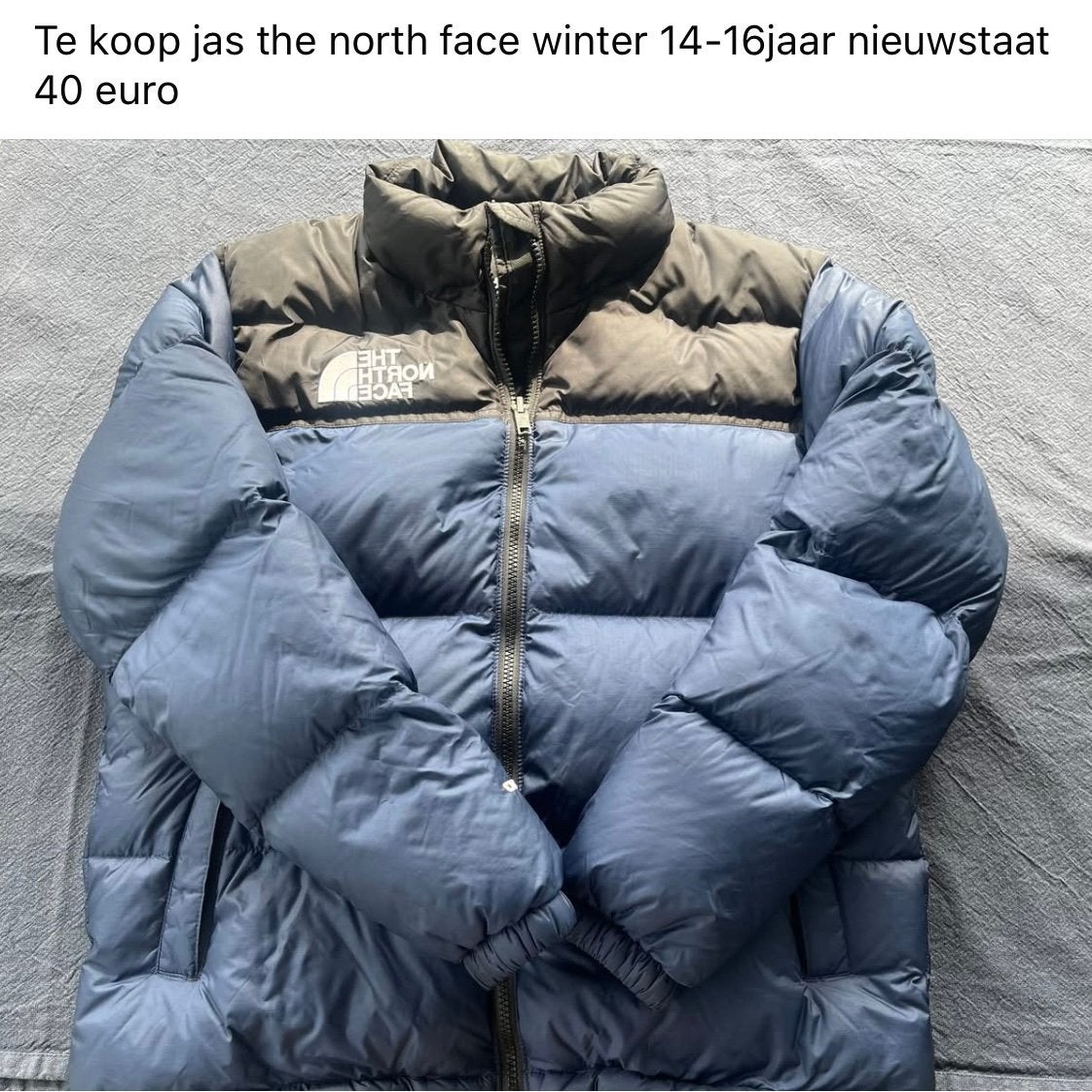 Jas the north face nieuwstaat 14-16 jaar 40 euro, Kinderen en Baby's, Ophalen of Verzenden, Zo goed als nieuw, Jas
