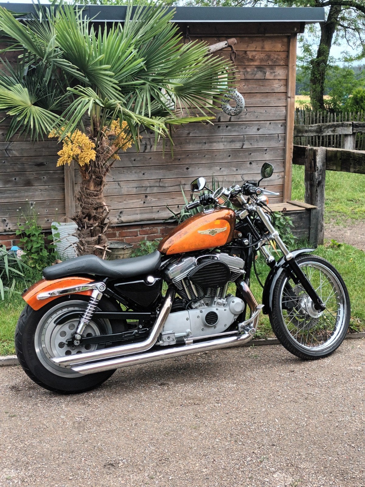 Harley sportster 2002, Motoren, Particulier