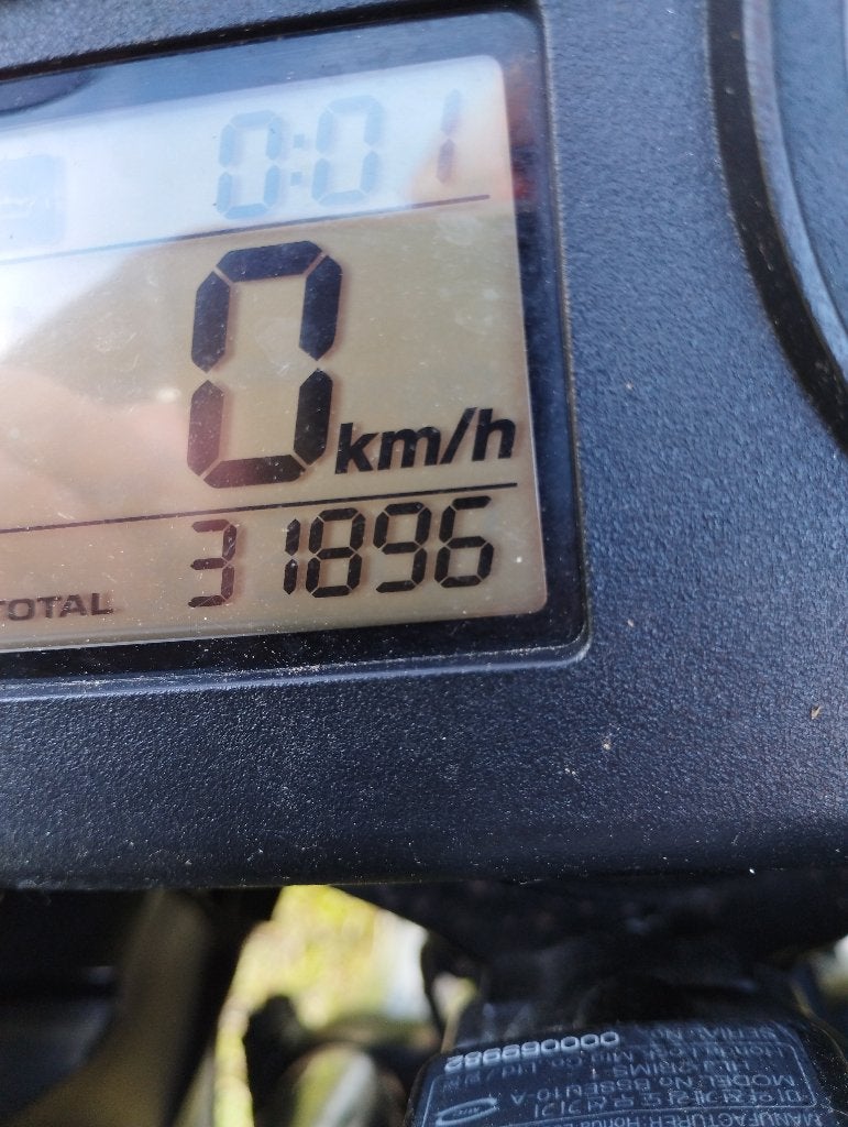 Transalp, Occasion, Plus de 35 kW, 2 cylindres, Particulier